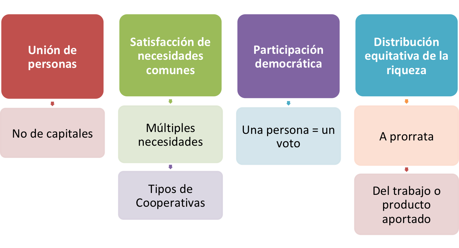 ¿Qué es una cooperativa?